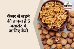 Walnuts Benefits : रोजाना 5 अखरोट खाने से घट सकता है कैंसर का खतरा, जानें खाने
का सबसे सही तरीका - image