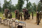 World Elephant Day