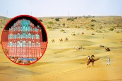 World Photography Day: रेगिस्तान से राजमहल तक, कैमरे में कैद हुआ राजस्थान का
अनोखा रंग, देखें 10 तस्वीरें - image