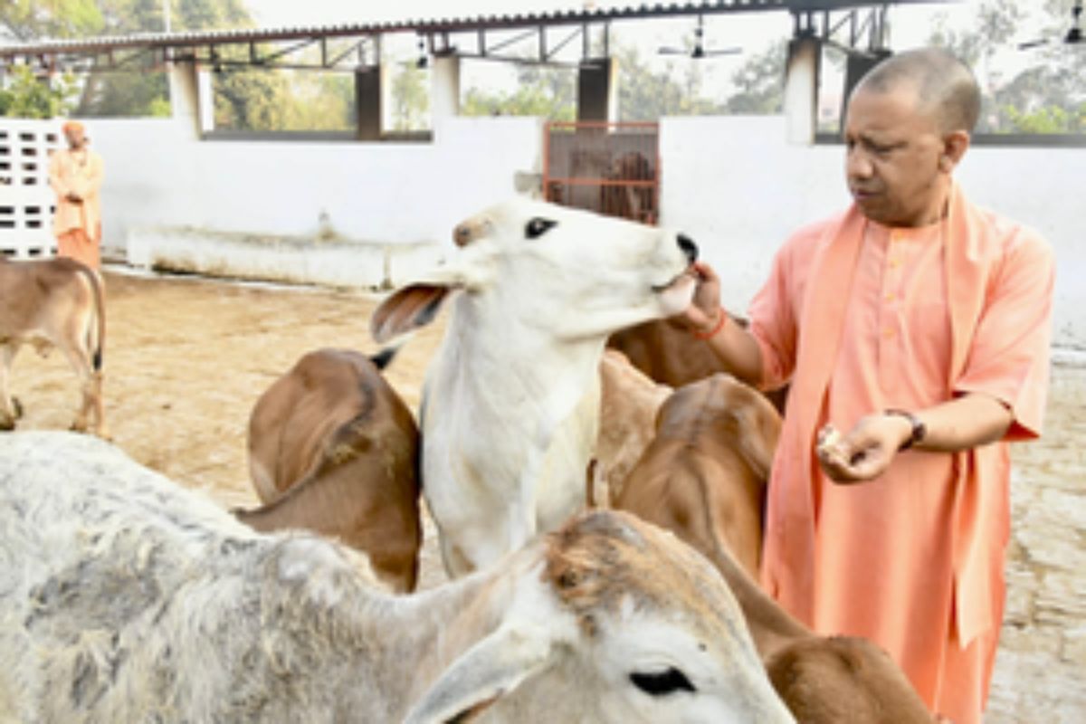 CM Yogi