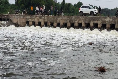 Black poison flows again in Bhilwara's Banas river...