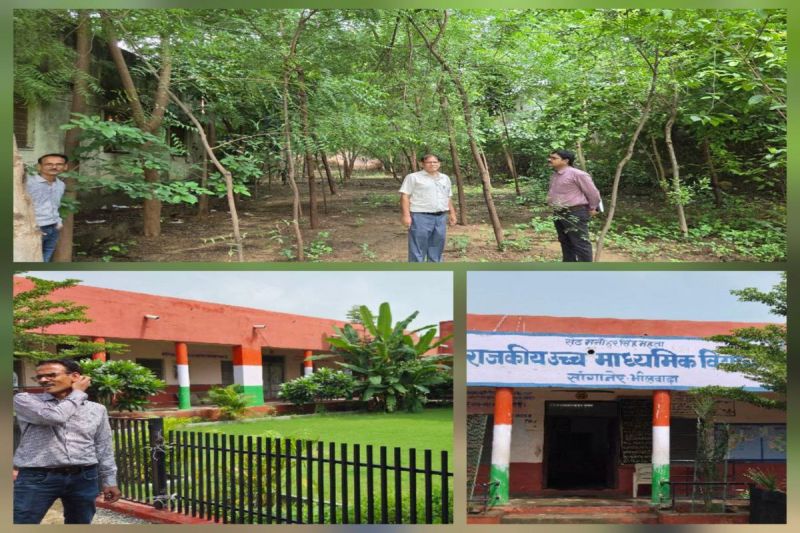 Picture is an example: Sankalp beautified the school....greenery, education and history became the identity