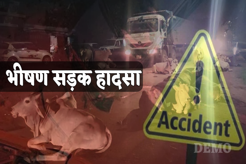 Truck Crushed Cattle