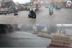 Ajmer Rain: अजमेर में मूसलाधार बारिश… सड़कें नहर में तब्दील, जानें अभी कब तक
होगी तेज बरसात - image