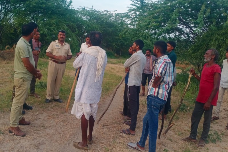 animal attack in jodhpur