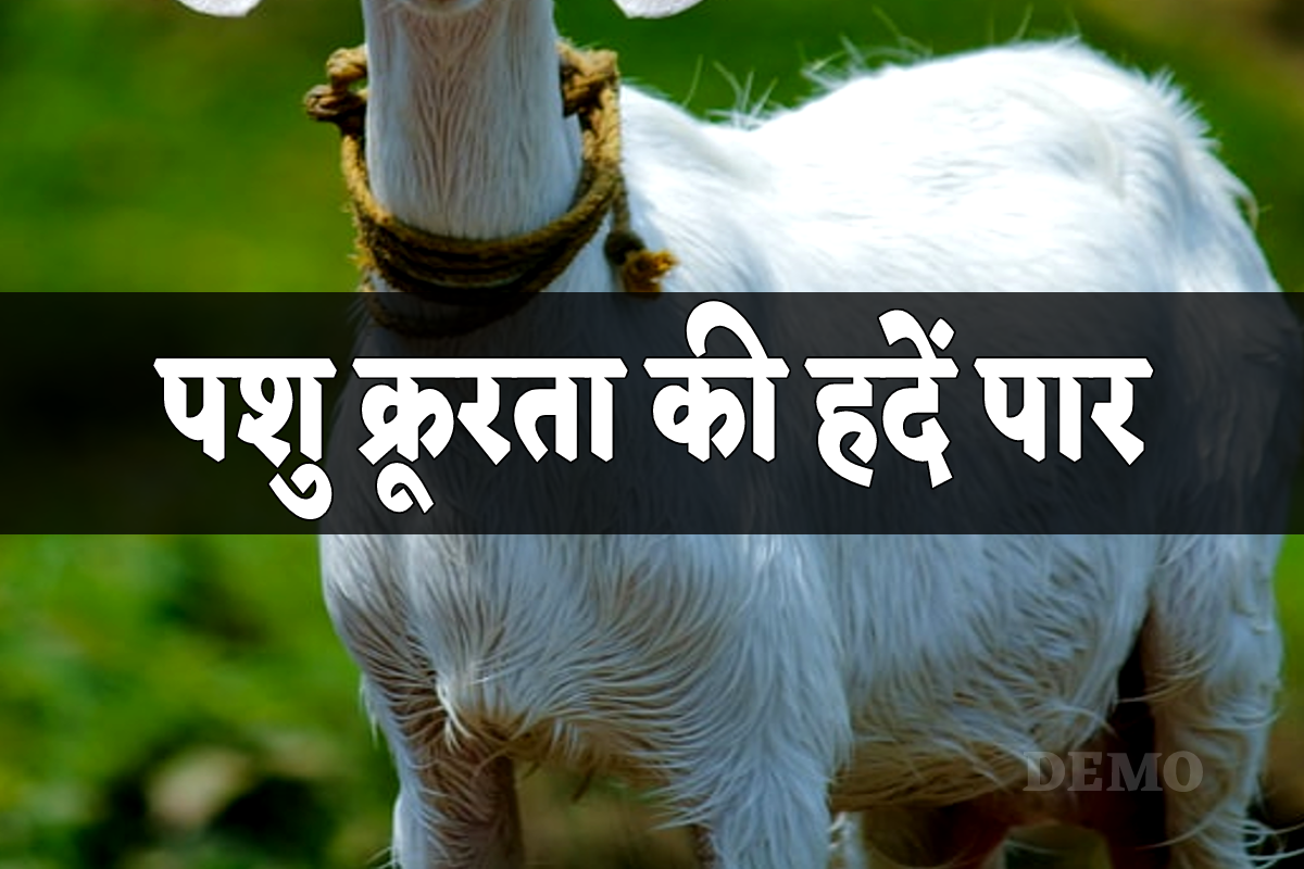 Animal Cruelty Case