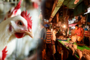 Meat And Fish Ban
