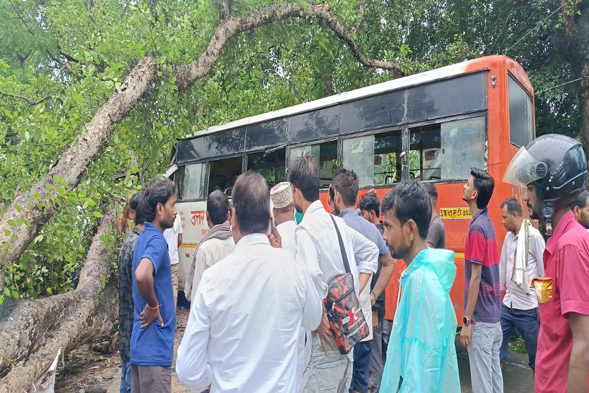 रोडवेज बस दुर्घटना, गूलर का पेड़ गिरा फोटो सोर्स : Social Media