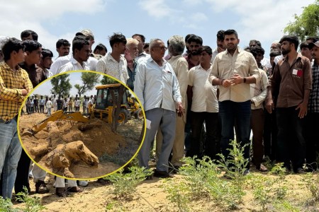 barmer news
