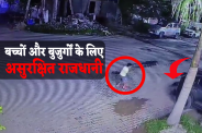 Strey Dogs Attack Case