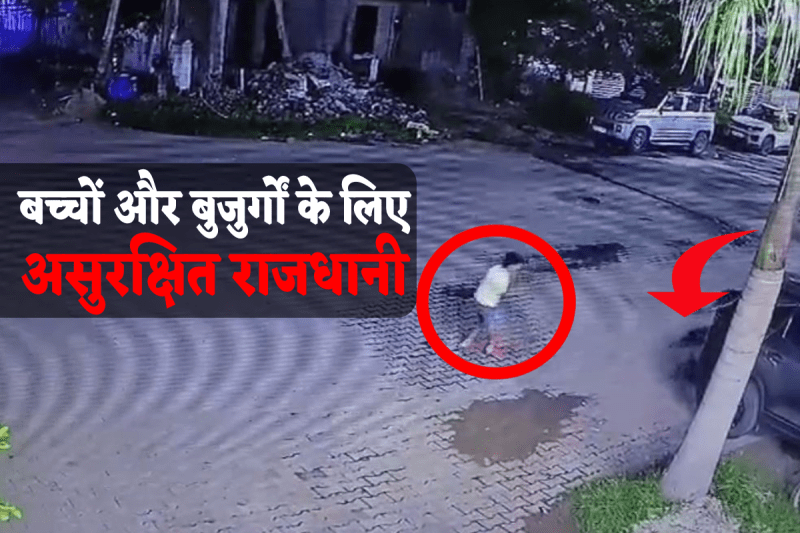 Strey Dogs Attack Case