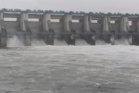 bisalpur dam news