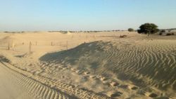 रेगिस्तान में फिर फल-फूल रही जासूसी की विष बेल - image