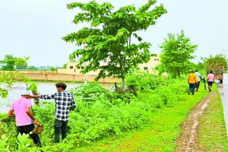 ग्रीन कॉरिडोर बनेगा बूंदी-बिजौलिया स्टेट हाइवे
