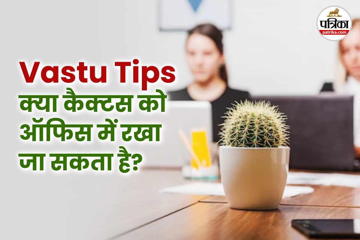 कैक्टस का प्रभाव ऑफिस में, Vastu tips, vastu tips for work, office vastu,