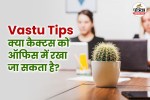 कैक्टस का प्रभाव ऑफिस में, Vastu tips, vastu tips for work, office vastu,