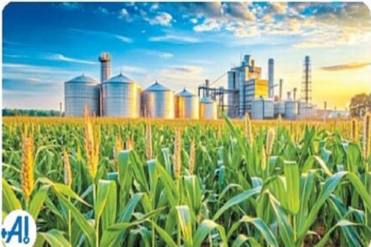 CG News: एथेनॉल के लिए एमओयू कराने के बाद प्लांट लगाना भूली कंपनियां, केवल 5 ने ही शुरू किया काम