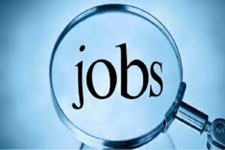Job Placement: 14 अगस्त को प्लेसमेंट कैंप का आयोजन, 340 पदों पर होगी भर्ती