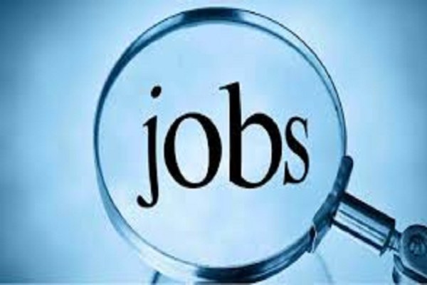 Job Placement: 14 अगस्त को प्लेसमेंट कैंप का आयोजन, 340 पदों पर होगी भर्ती