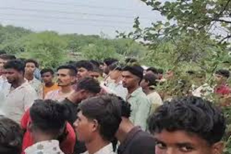 CG Crime: गौ हत्या पर बिलासपुर में बवाल, महिला समेत चार लोग घायल, एक रायपुर रेफर