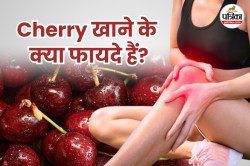 Benefits of Cherry: नींद नहीं आती? जोड़ों का दर्द सताता है? खाएं ये लाल फल चेरी - image