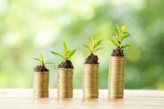 Rajasthan top in investment