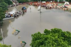 Rajasthan Monsoon: राजस्थान के इस जिले में लगातार दूसरे साल बारिश का कोटा पूरा,
खिले उठे किसानों के चेहरे - image