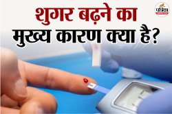 Diabetes में ब्लड शुगर क्यों बढ़ता है? जानिए 5 आम लेकिन अनदेखे कारण - image