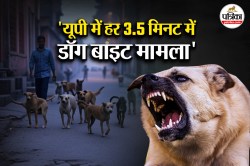 UP में जानवरों के हमले बने चुनौती, 1 साल में 1.64 लाख लोग बने शिकार, हर 3.5 मिनट
में एक पर आवारा कुत्तों का हमला - image