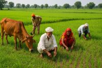 किसानों के खाते में नहीं आई भूमि क्षतिपूर्ति की राशि, आंदोलन की दी चेतावनी, जानें पूरी खबर...(photo-patrika)