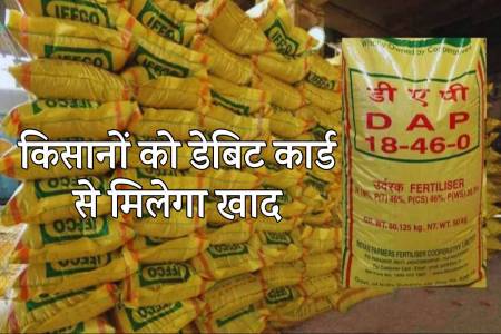 fertilizer