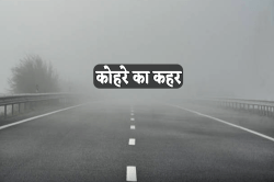 बारिश के बाद एमपी के इस जिले में घने कोहरे का कहर, फसलों पर मंडराया खतरा - image
