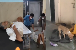 10 साल की सेवा का ये इनाम! अस्पताल की गैलरी में 5 दिन पड़ा रहा बुजुर्ग, शरीर पर
पड़े कीड़े - image