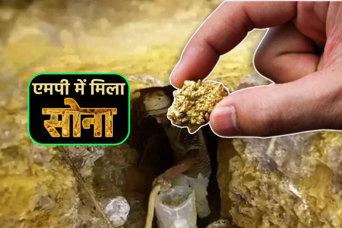 gold reserve found in MP Geologist Excited to see the gold treasure