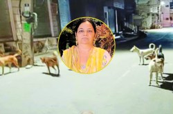बाइक के पीछे अचानक दौड़े कुत्ते… महिला के पैर को पकड़ा, गिरने से मौत; 2 बच्चों
ने अपनी मां को खोया - image