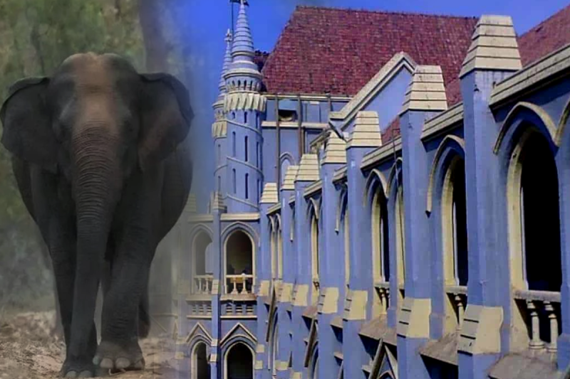 MP High Court Strict