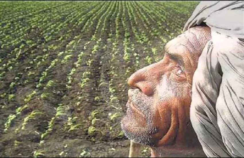 किसानों को बारिश का इंतजार, पत्रिका फोटो