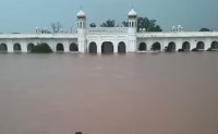 Kartarpur Sahib Gurdwara submerged in water
