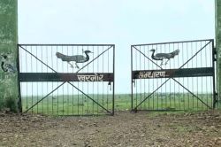 खरमोर अभ्यारण्य के 14 गांवों की जमीन हुई राजस्व के आधीन, अब होगी खरीदी-बिक्री - image
