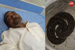 जिंदा सांप लेकर जिला अस्पताल पहुंचा किसान, देखकर सहम गए डॉक्टर और स्टाफ, जाने
क्या है मामला - image