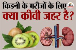 Kiwi For Kidney: कीवी खाना फायदेमंद होता है, लेकिन क्या किडनी के मरीजों को कीवी
खाना चाहिए? - image
