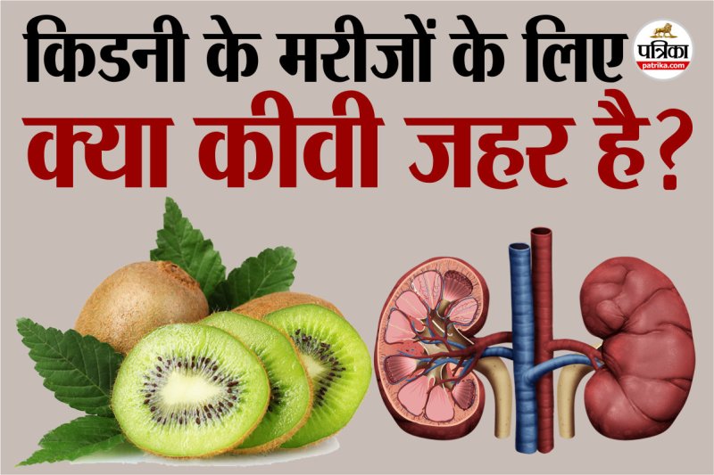 kiwi for kidney health, kiwi side effcets, side effect of kiwi for kidney
