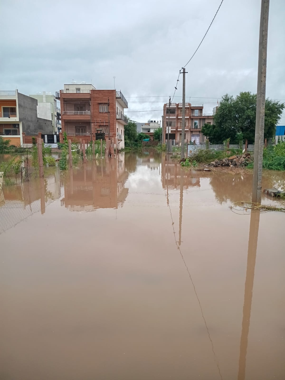 Nagaur patrika…नागौर में मूसलाधार बारिश से तबाही, मकान गिरने और बाढ़ की स्थिति…VIDEO