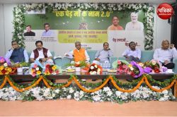 37 करोड़ पौधे एक दिन में लगाकर रचा रिकॉर्ड, अब उद्योगों और किसानों को जोड़ने की
तैयारी, जाने - image