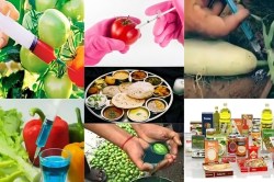 Health Alert: हो जाएं सावधान! खाद्य पदार्थों में जहर: मिलावटखोरी से कैंसर, अल्सर
और दिल की बीमारियां बढ़ीं - image