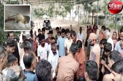 Watch Video : यहां अनोखे जानवर को देख ग्रामीणों में हड़कंप मचा, रेंजर की बजती
रही फोन की घंटियां, नहीं उठाया फोन - image