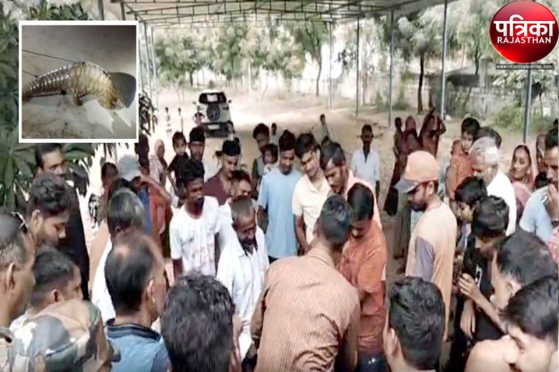 Watch Video : यहां अनोखे जानवर को देख ग्रामीणों में हड़कंप मच, रेंजर की बजती रही फोन की घंटियां, नहीं उठाया फोन