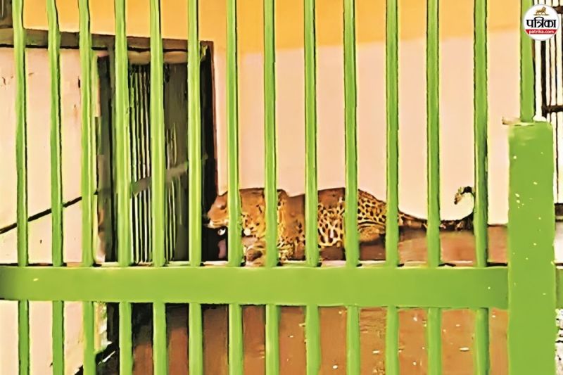 Nahargarh Biological Park