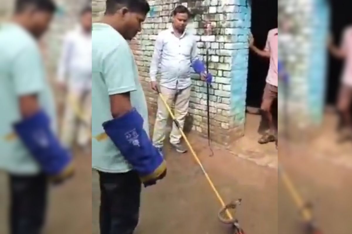 नागिन का बदला? एटा में 24 घंटे तक डेरा जमाए बैठी रही नागिन, पूरे गांव में दहशत
का माहौल