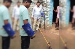 नागिन का बदला? एटा में 24 घंटे तक डेरा जमाए बैठी रही नागिन, पूरे गांव में दहशत
का माहौल - image